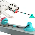 Dog Chew Toys